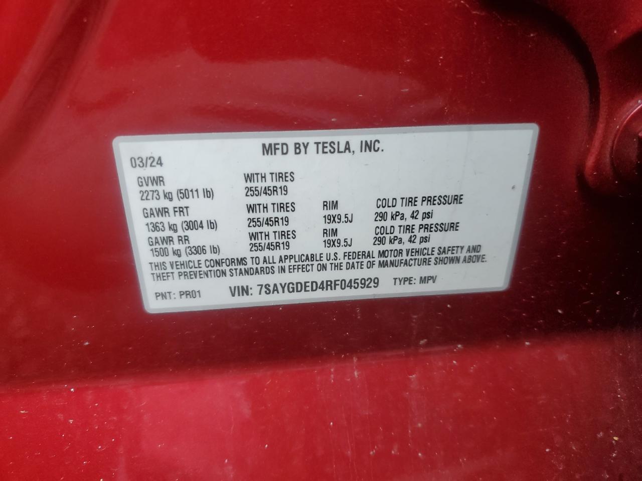 2024 TESLA MODEL Y