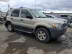 2006 FORD ESCAPE