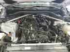 2023 BMW X6