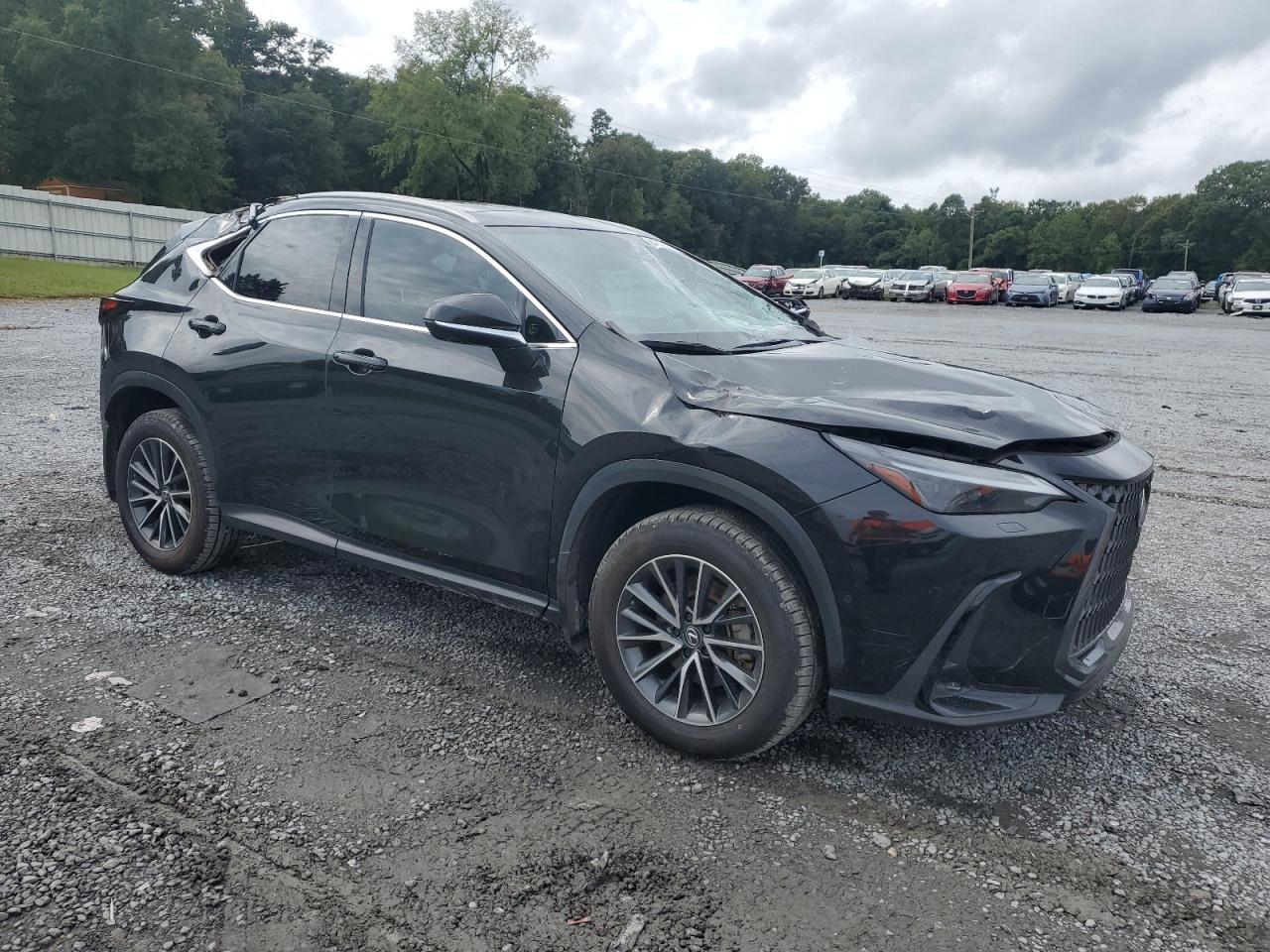 2024 LEXUS Nx