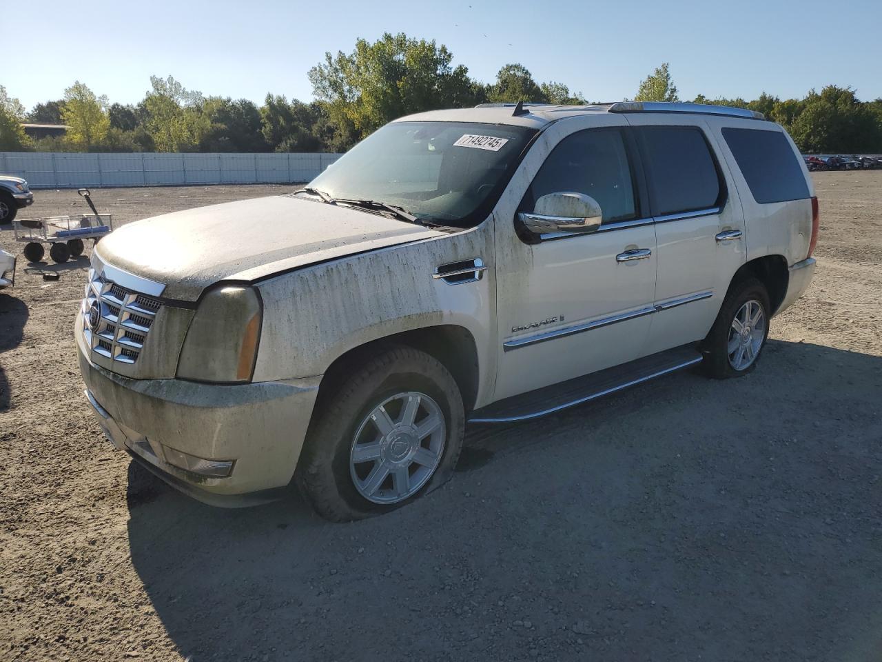2007 CADILLAC ESCALADE