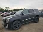 2017 CADILLAC ESCALADE