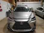 2025 LEXUS Nx