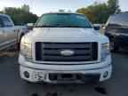 2009 FORD F-150