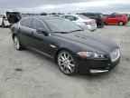 2015 JAGUAR XF