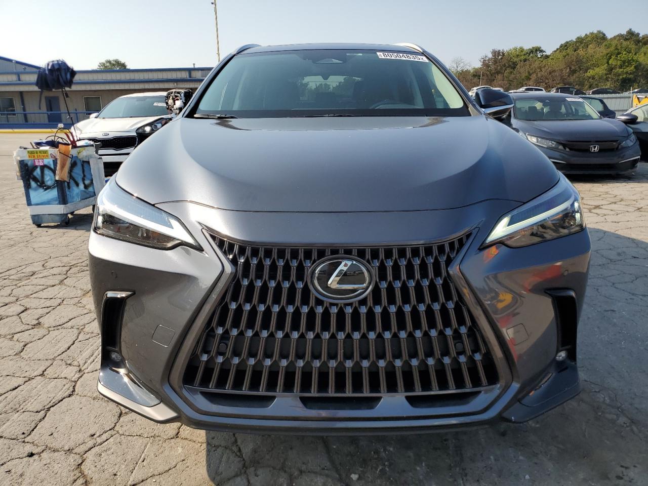 2024 LEXUS Nx