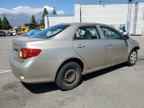 2009 TOYOTA COROLLA