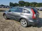 2010 HONDA CR-V