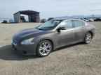 2014 NISSAN Maxima