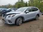 2024 SUBARU FORESTER