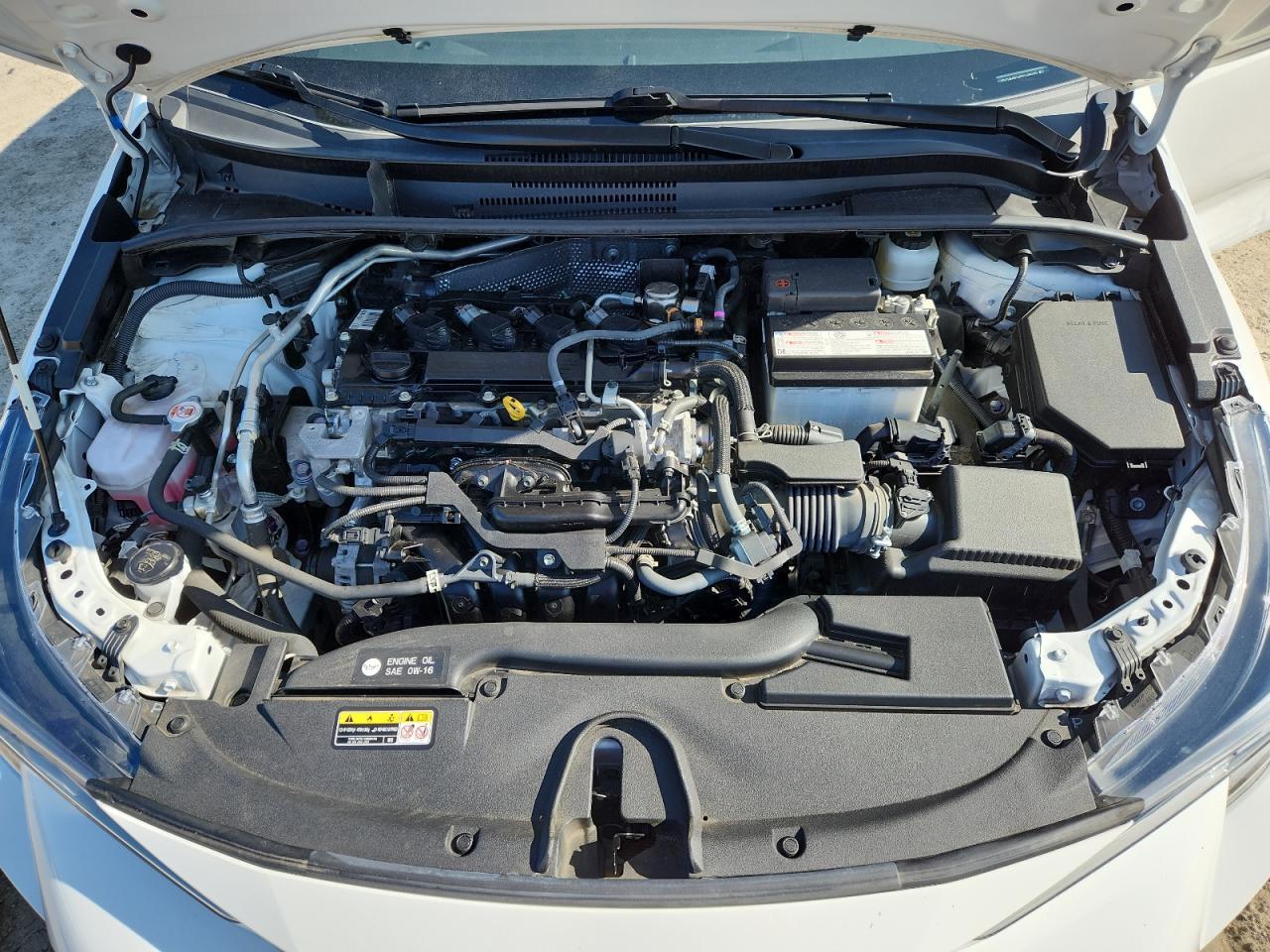 2023 TOYOTA COROLLA