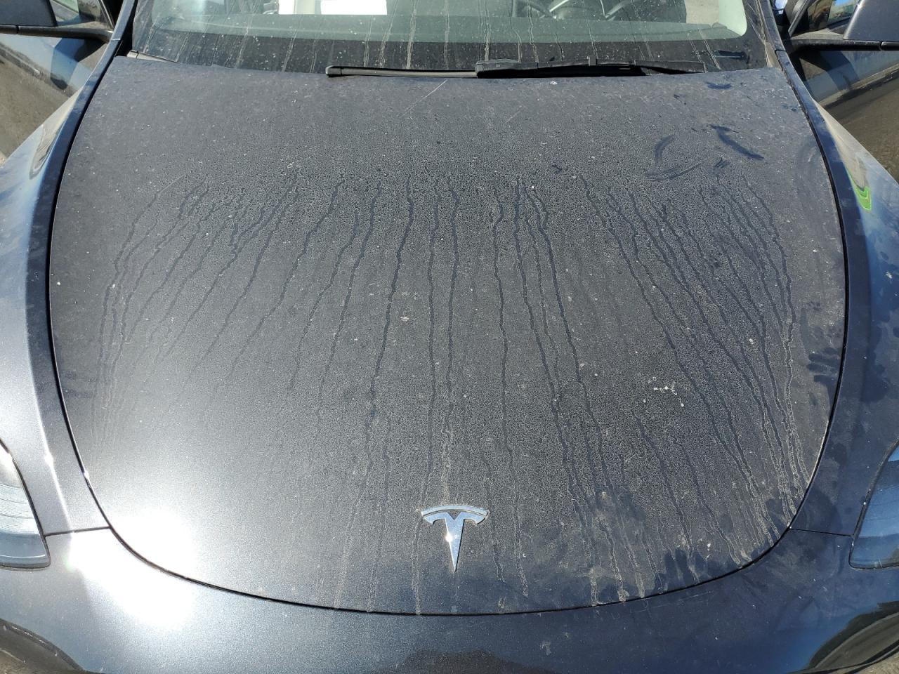 2025 TESLA MODEL Y