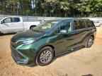 2023 TOYOTA SIENNA