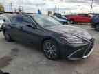 2024 LEXUS ES 300H