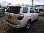 2024 TOYOTA 4Runner