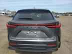 2025 LEXUS Nx