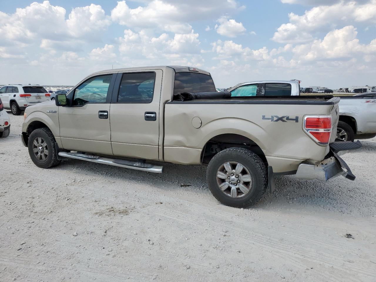 2010 FORD F-150