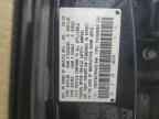 2009 HONDA ACCORD