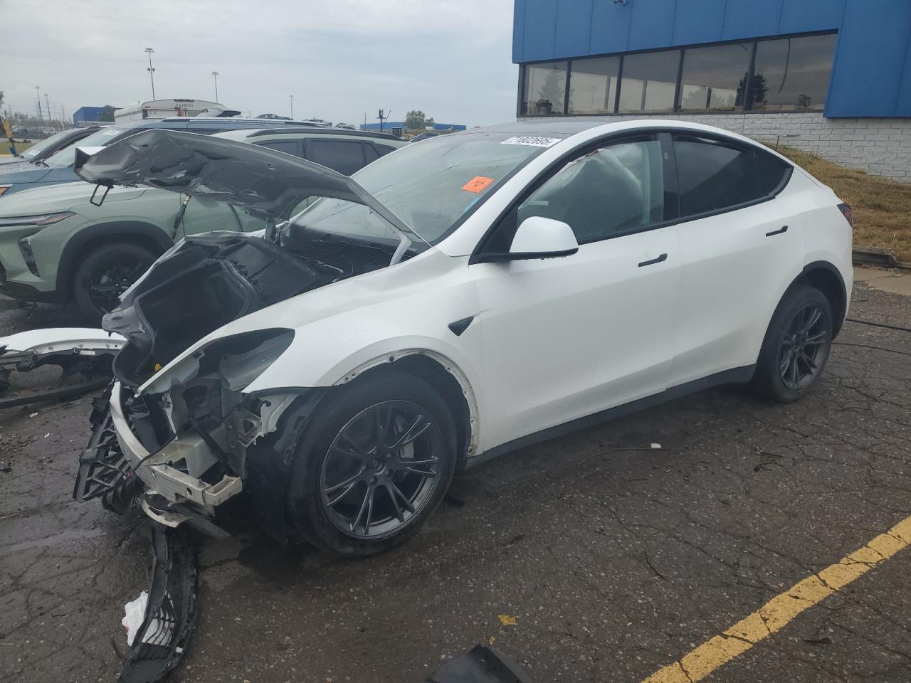 2025 TESLA MODEL Y