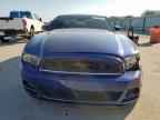 2013 FORD MUSTANG