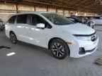 2025 HONDA ODYSSEY