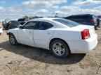 2010 DODGE CHARGER