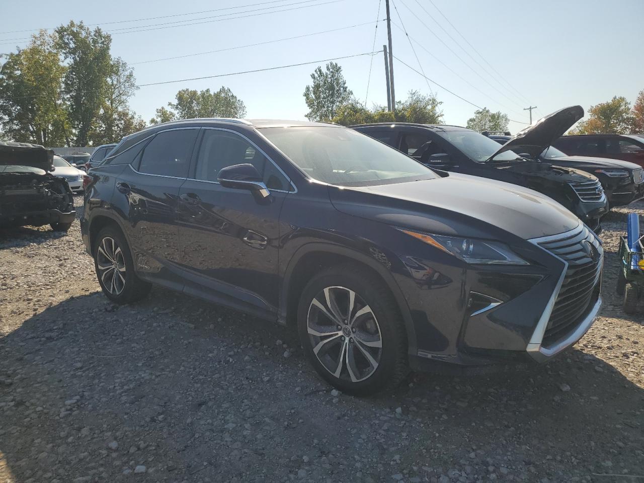 2019 LEXUS Rx