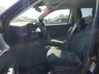 2024 FORD Maverick
