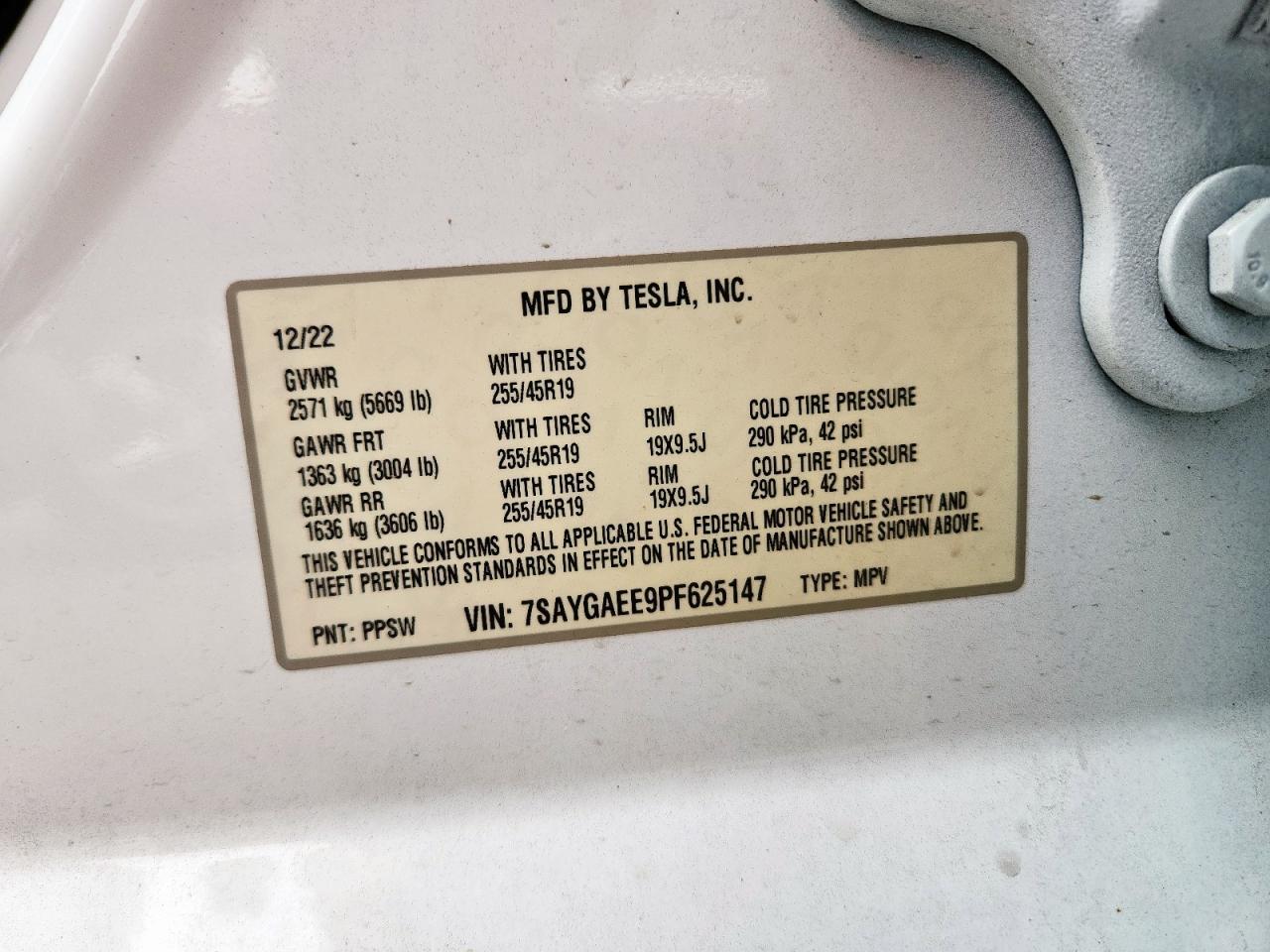 2023 TESLA MODEL Y