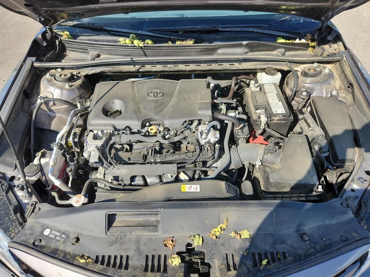 2022 TOYOTA CAMRY
