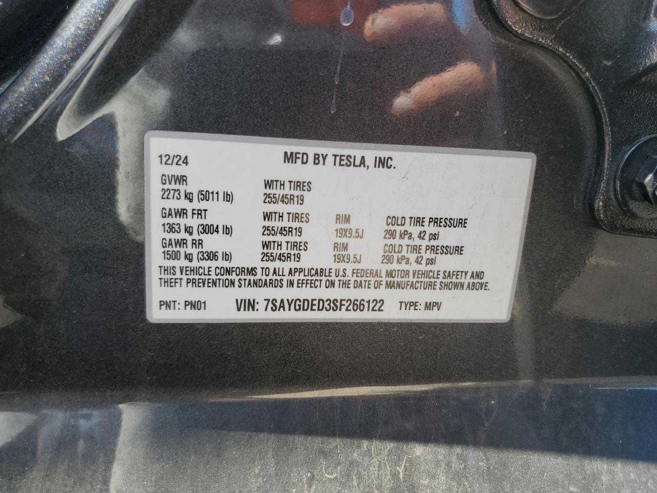 2025 TESLA MODEL Y