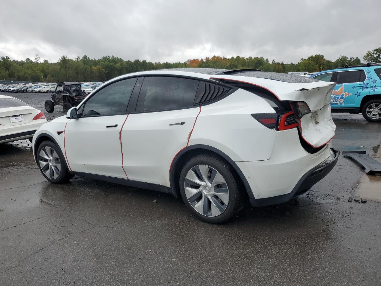 2020 TESLA MODEL Y