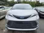 2024 TOYOTA SIENNA