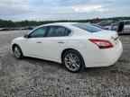 2010 NISSAN Maxima