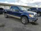 2009 FORD F-150