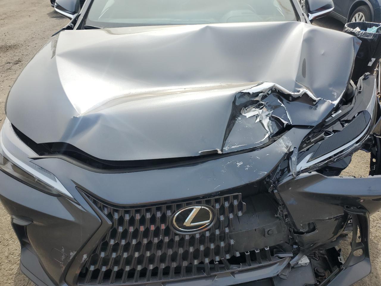 2025 LEXUS Nx