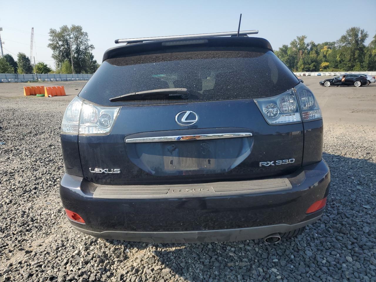 2004 LEXUS Rx