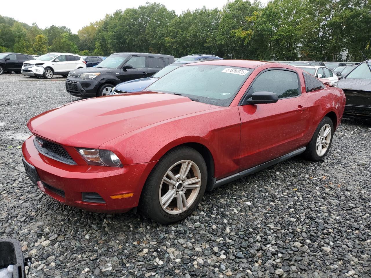 2010 FORD MUSTANG