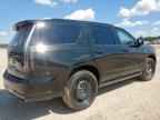 2025 CADILLAC ESCALADE