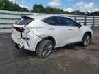 2025 LEXUS Nx