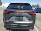 2025 LEXUS Nx