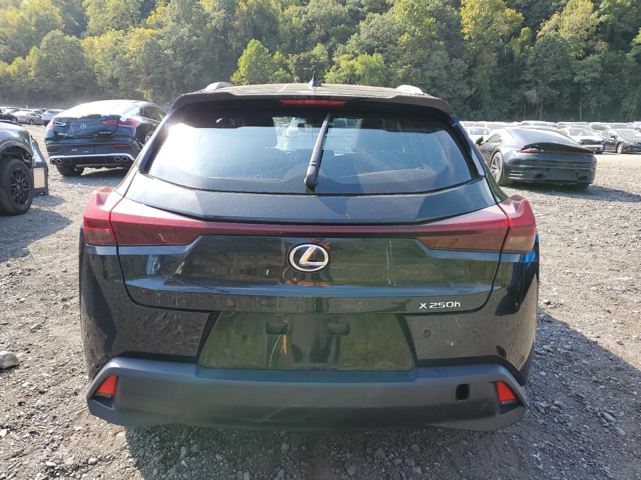 2024 LEXUS UX 250H
