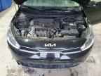 2023 KIA RIO