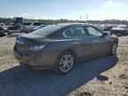 2014 NISSAN Maxima