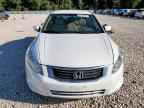 2010 HONDA ACCORD