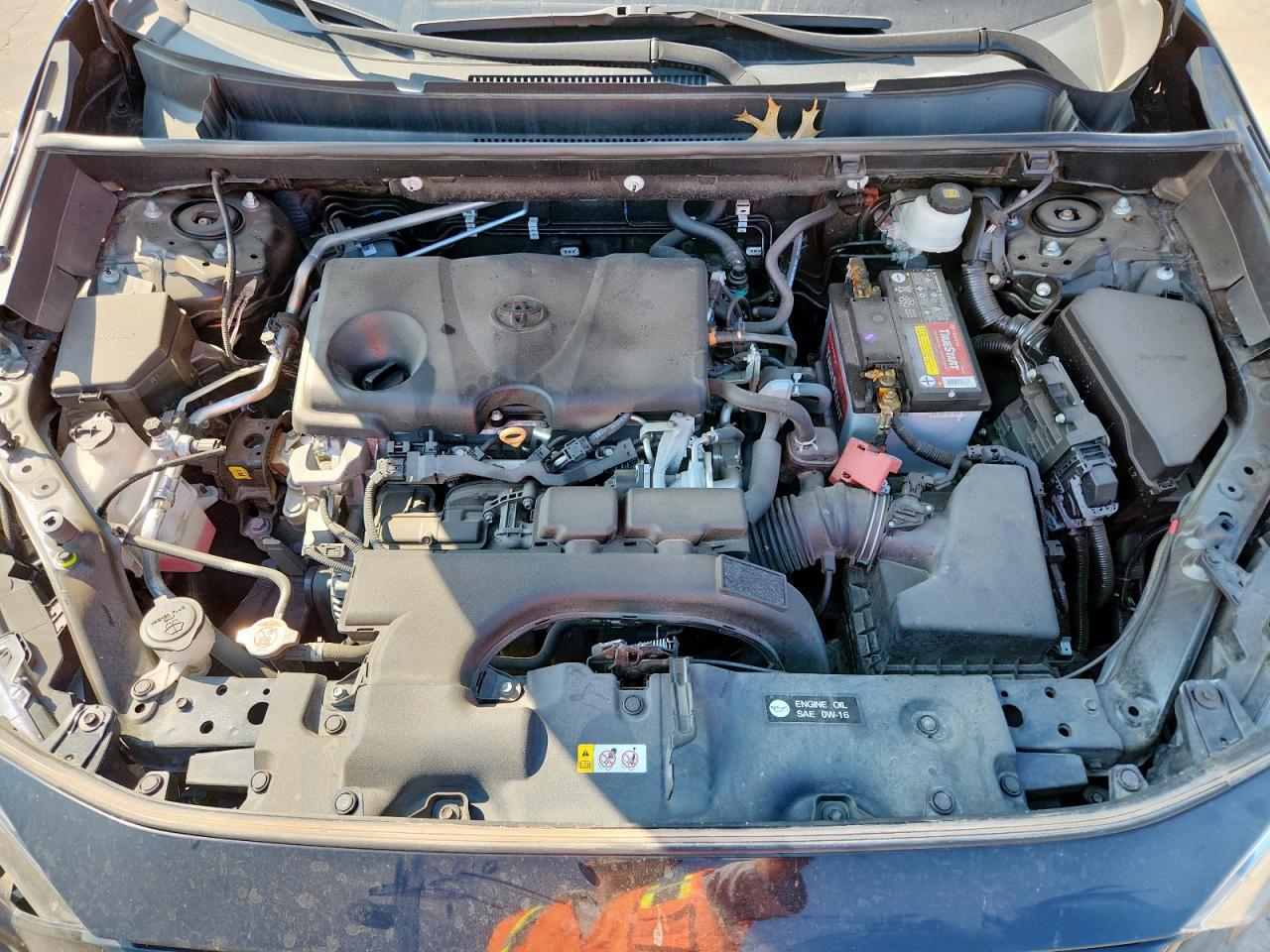 2019 TOYOTA RAV4