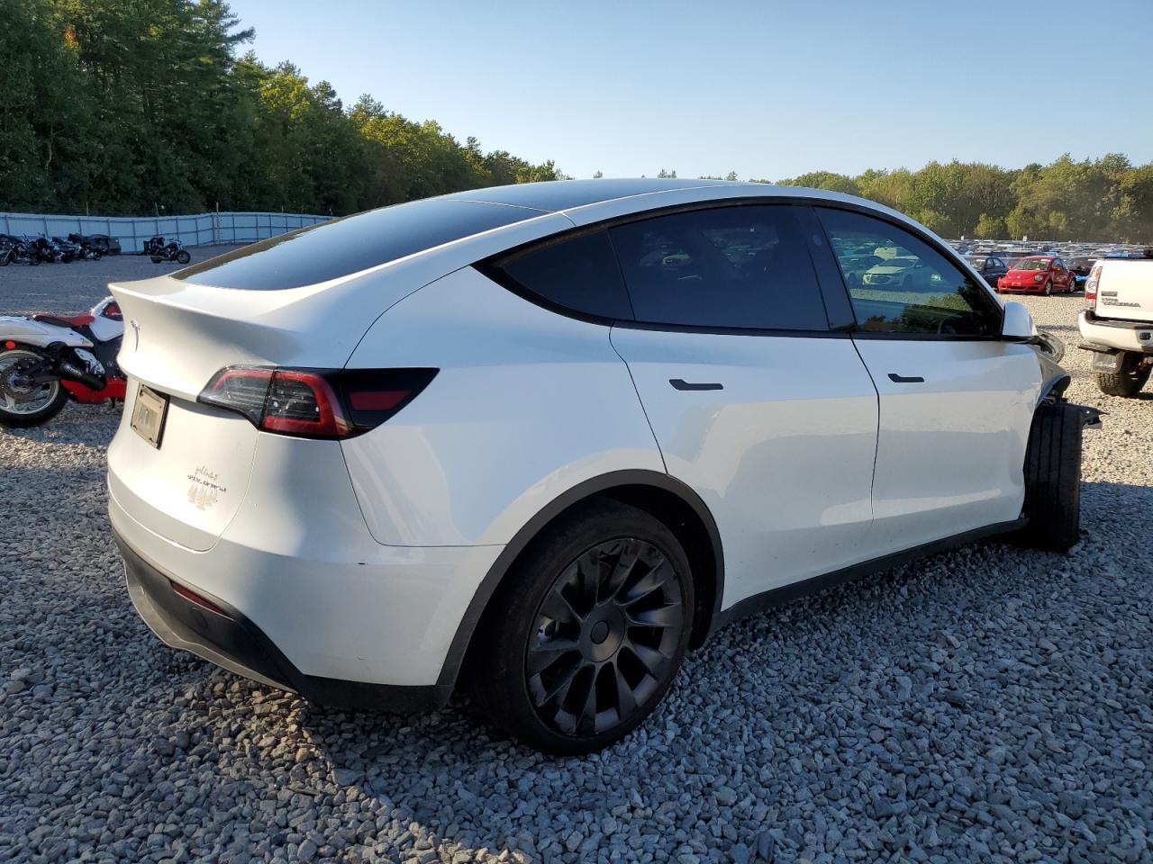 2024 TESLA MODEL Y