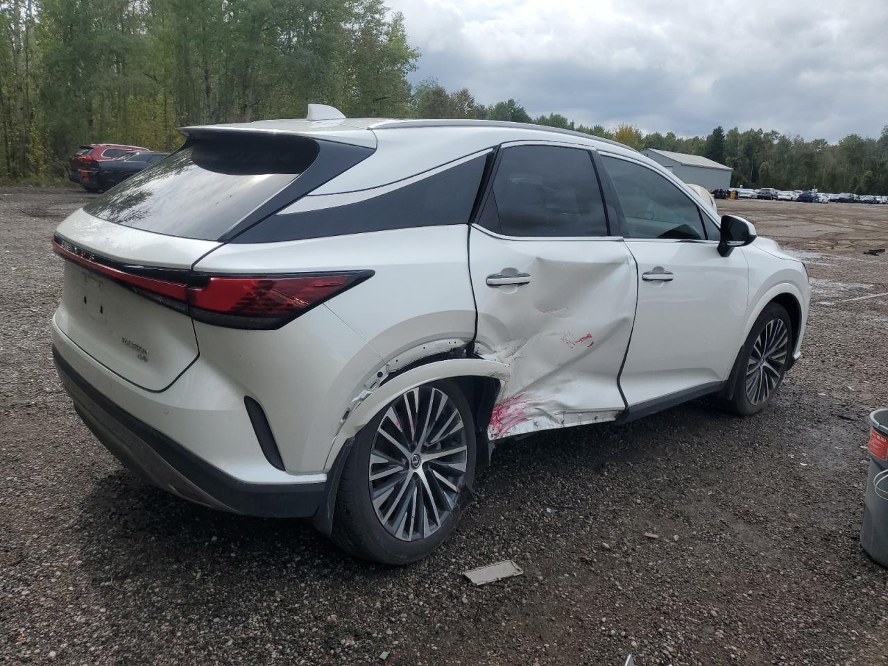 2024 LEXUS Rx