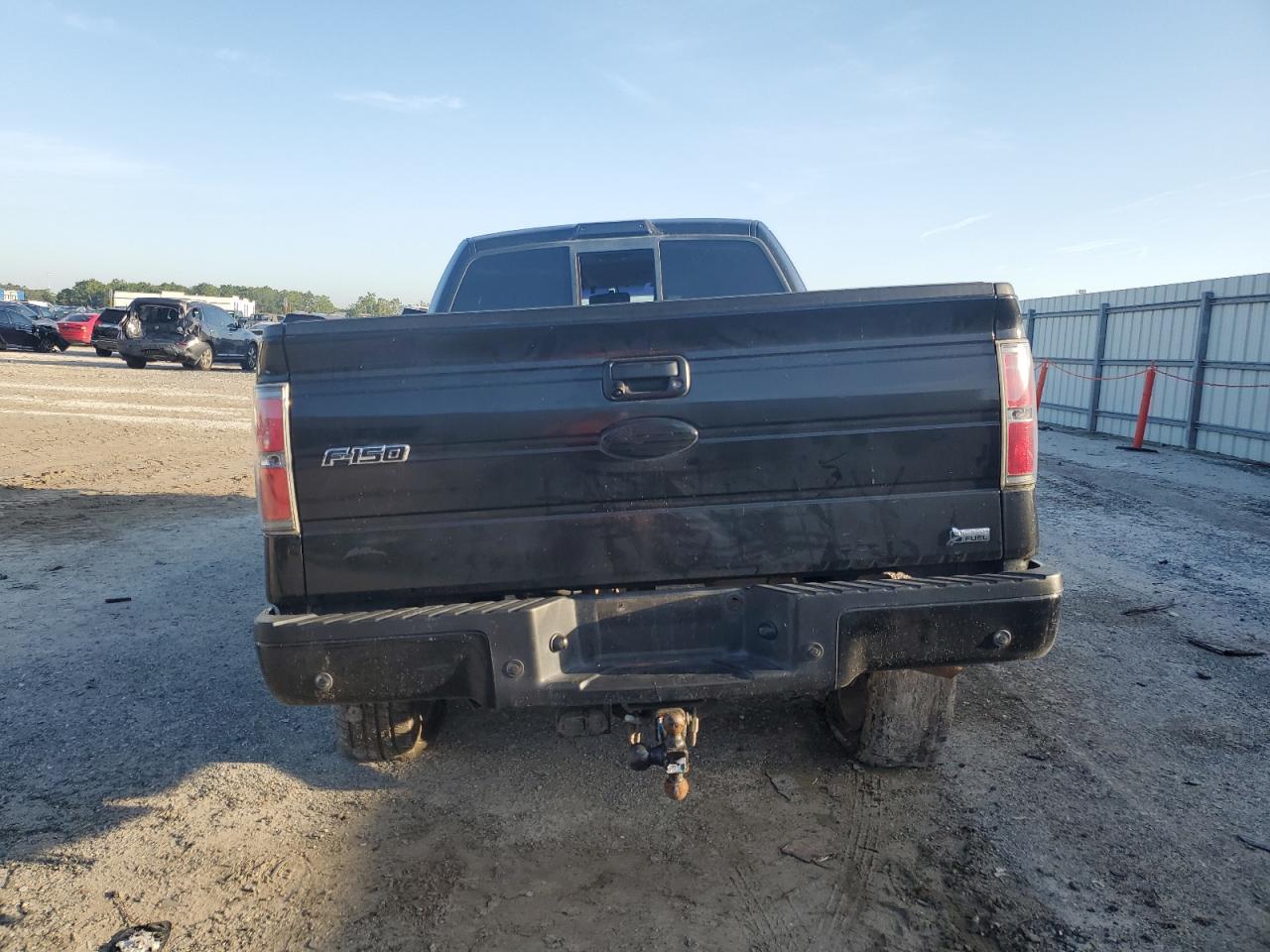 2010 FORD F-150