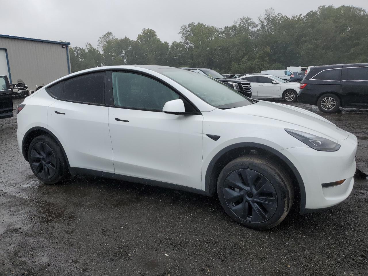 2024 TESLA MODEL Y